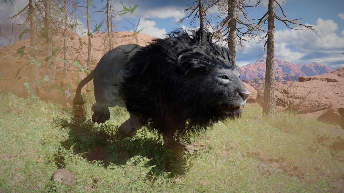Legendary Animal - Black Lion Location - Crimson Desert Guide