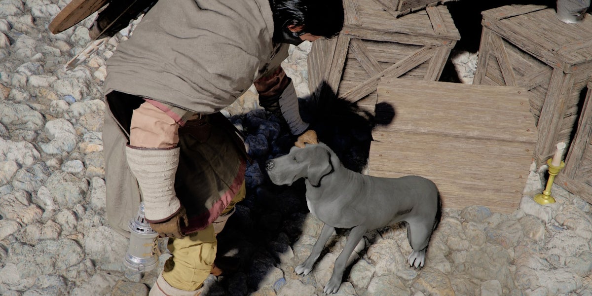 How to get pets in Crimson Desert