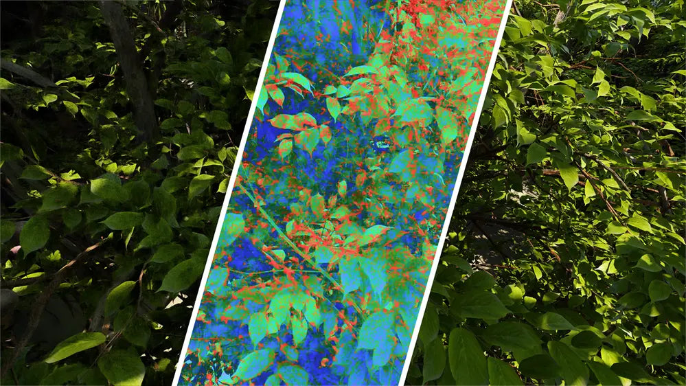 Intel CGVQM: Open‑Source Real‑Time Game Image Quality - Tool Measures Game Graphics Like a Human Eye