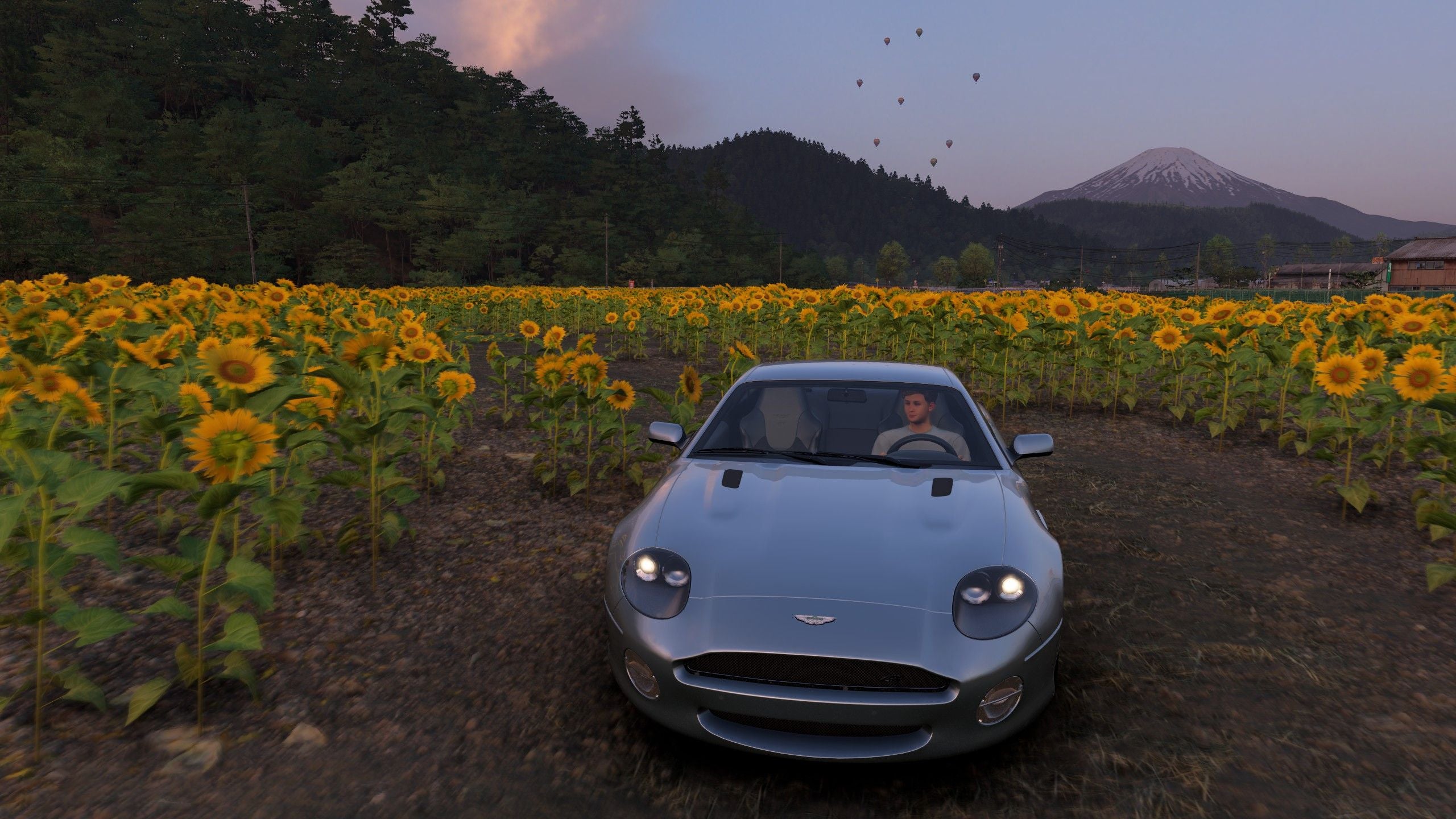 Where to find Hokuryu Sunflower Farm in Forza Horizon 6