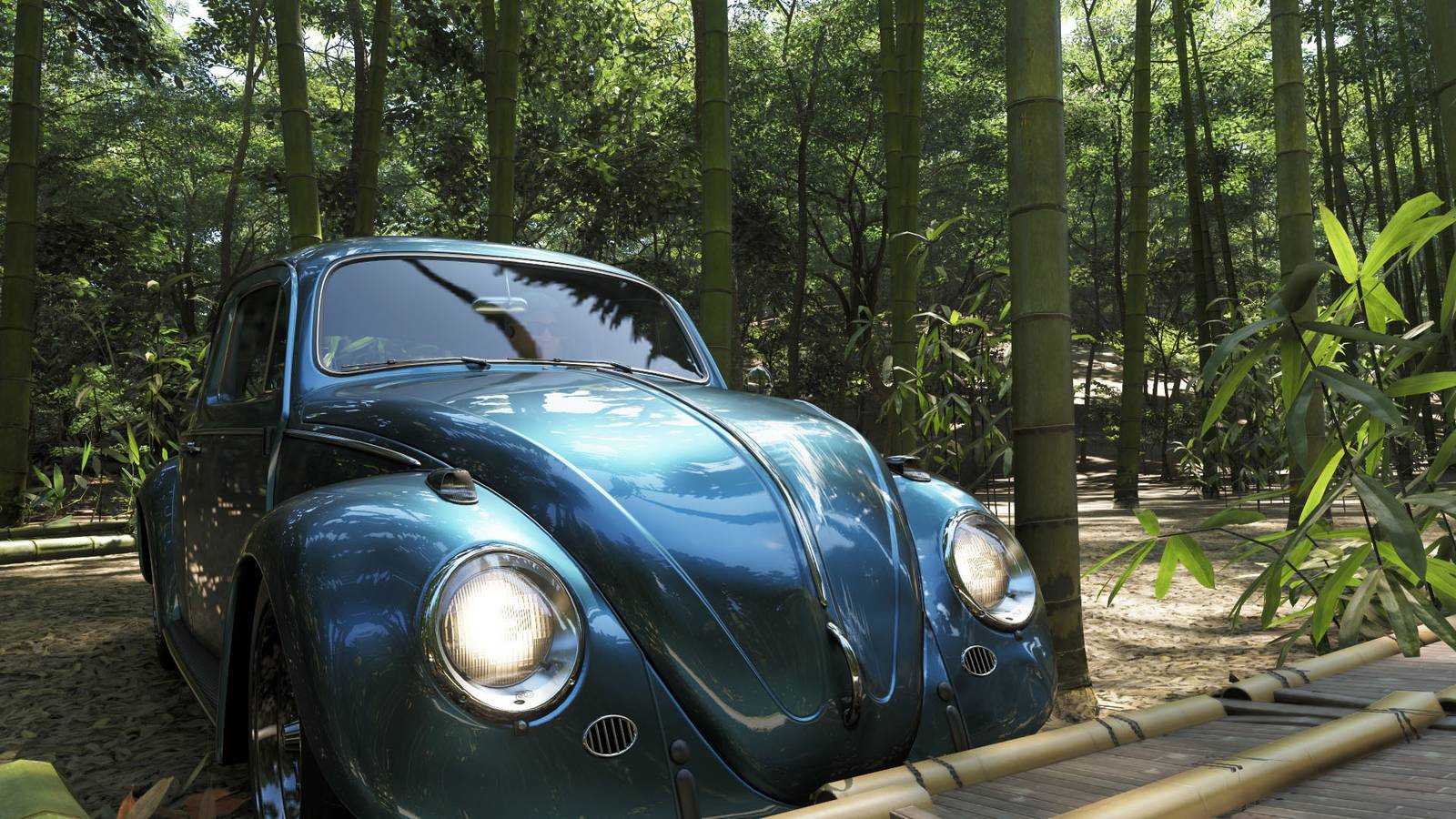 Where to find bamboo in Forza Horizon 6