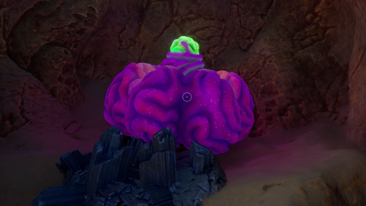 How to get Acidic Raion Pouch in Subnautica 2
