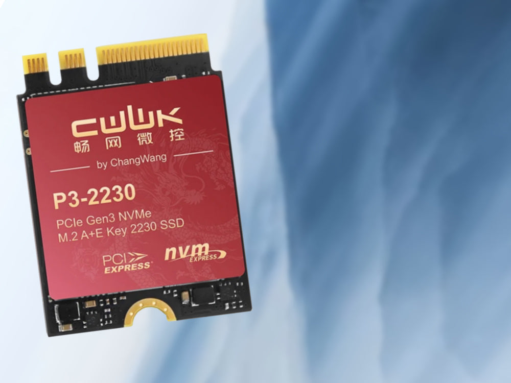 This M.2 2230 NVMe SSD is unlike most others; costs far too much for what it is