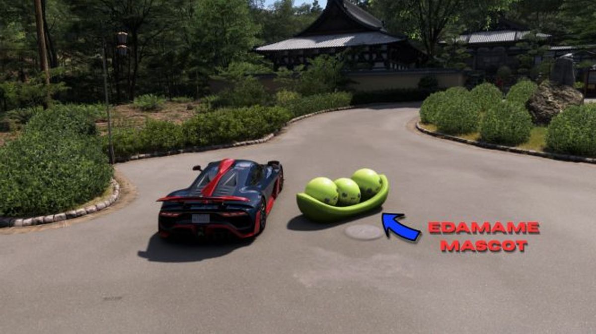 Forza Horizon 6: All Edamame Mascot Locations
