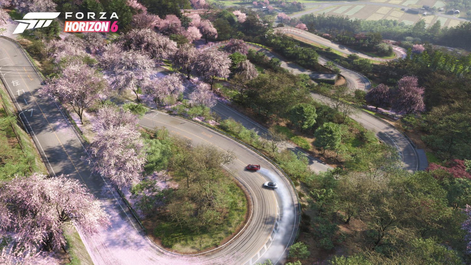 Forza Horizon 6 Review