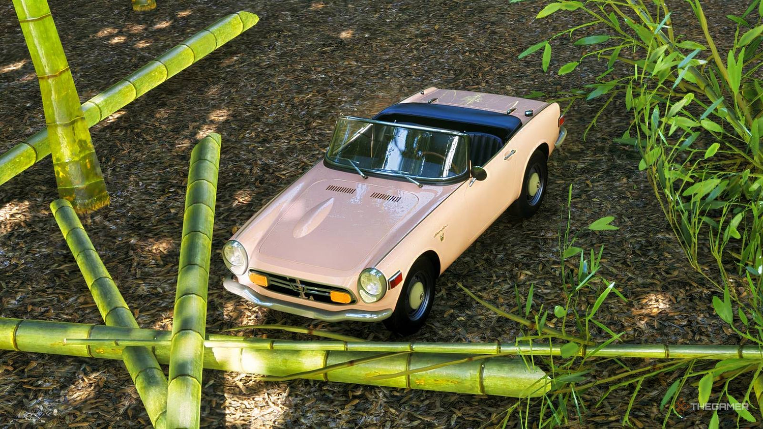 Where To Find Bamboo In Forza Horizon 6