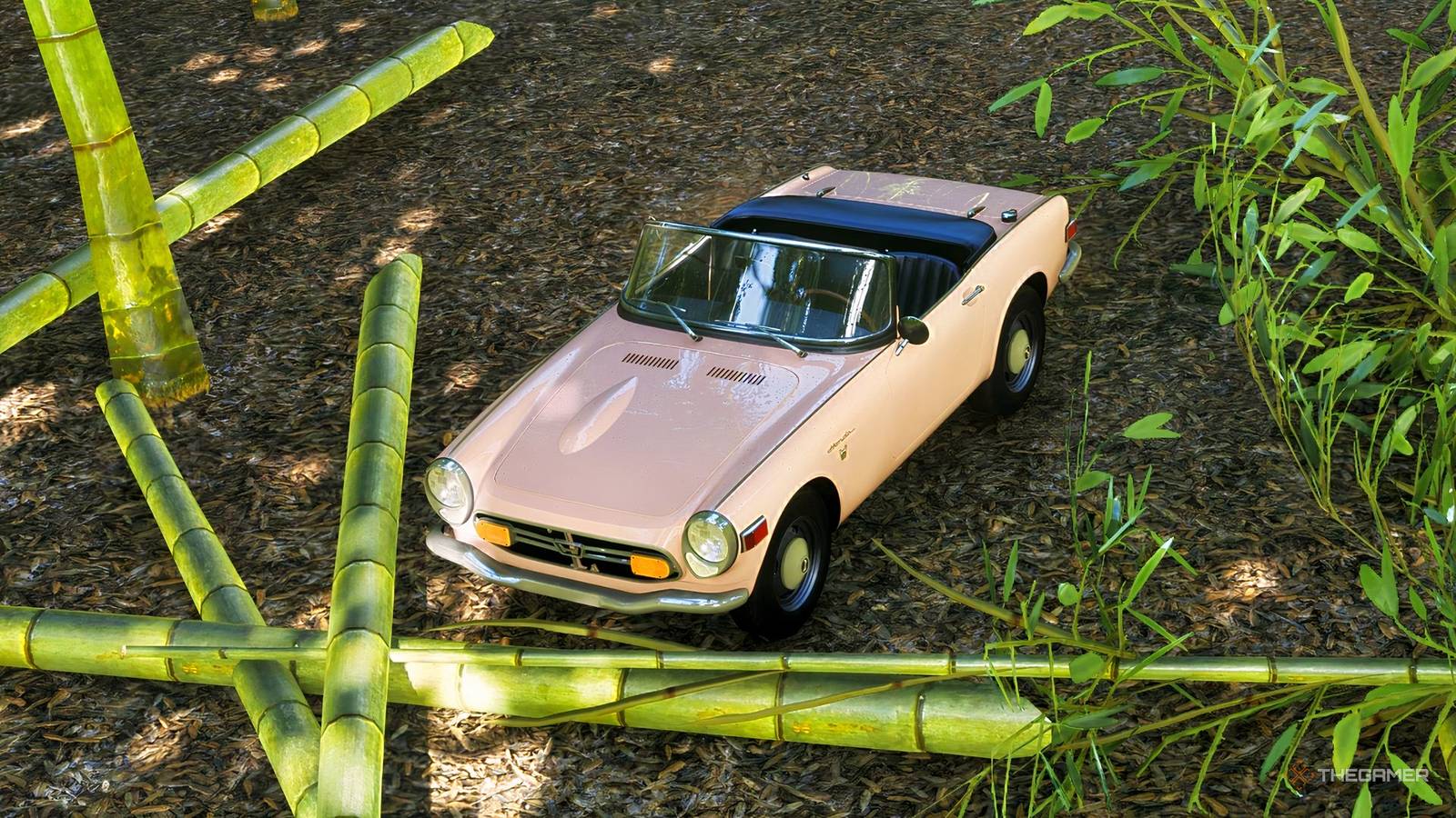 Where To Find Bamboo In Forza Horizon 6