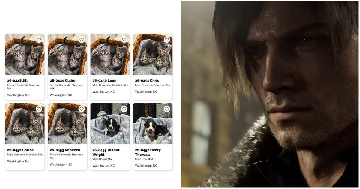 Animal Shelter Names Kittens After Resident Evil Characters