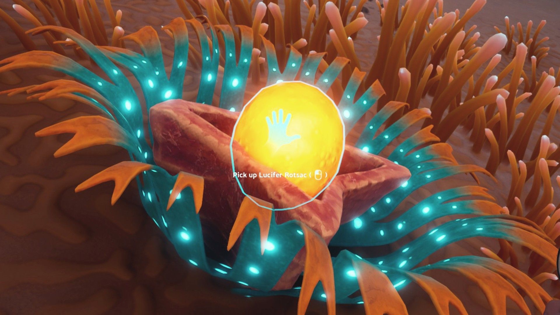 Where to find a Lucifer Rotsac in Subnautica 2