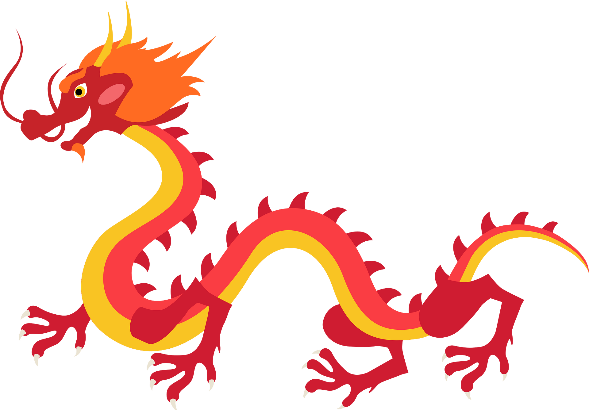 Chinese New Year dragon